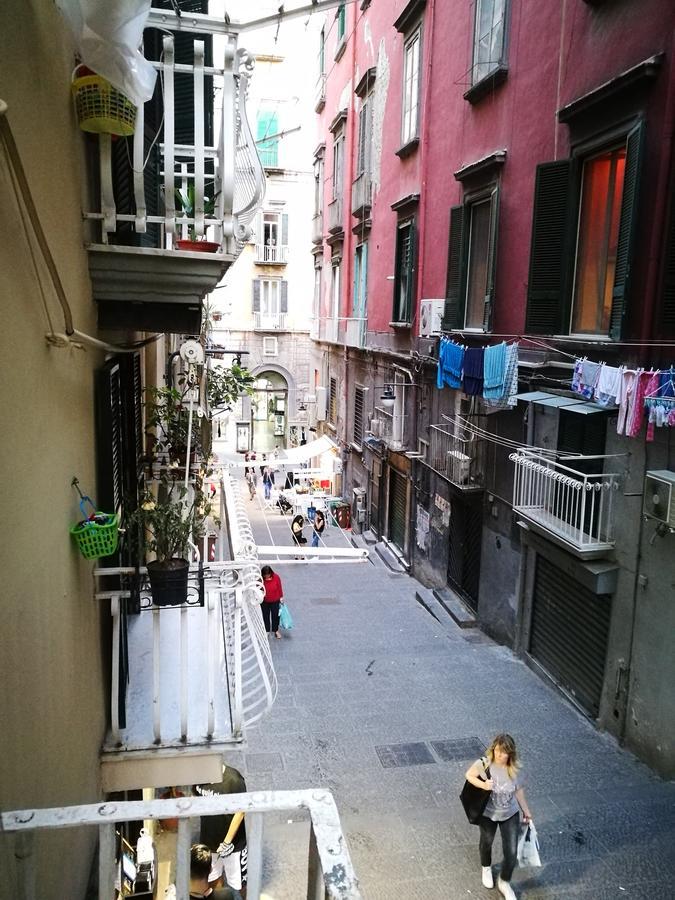 Bed & Breakfast Domus Vinaria Napoli
